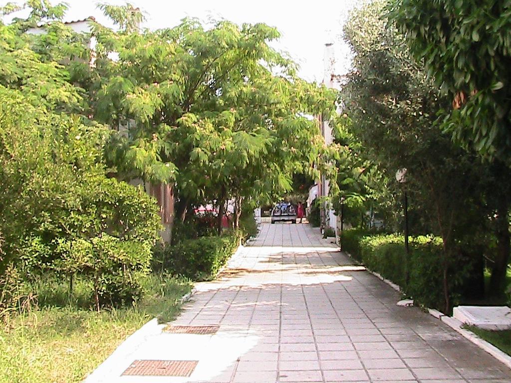 Niki Apartments Polychrono Bagian luar foto